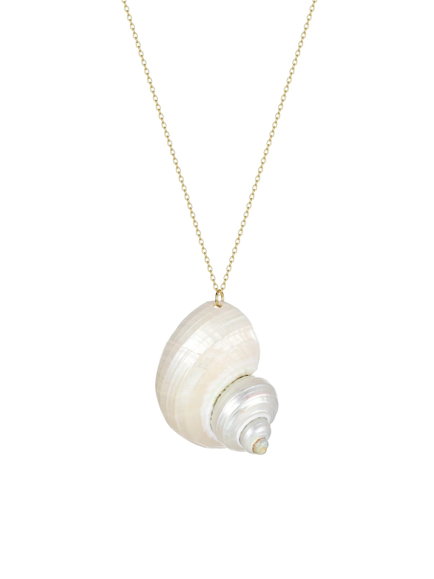 Natural Shell Necklace