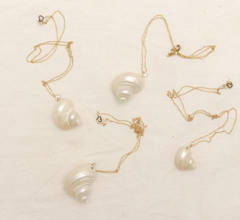 Natural Shell Necklace