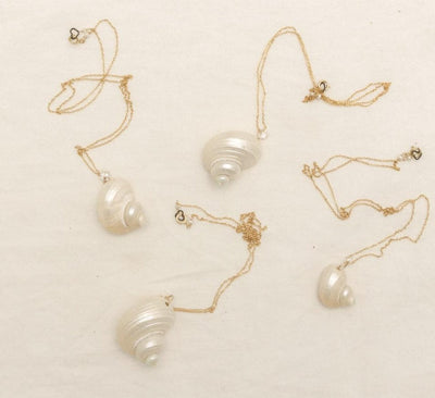 Natural Shell Necklace